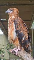 Featherline Tierpark (10) &ndash; &copy; Marcus Hasselhorst (Eberhardt TRAVEL)