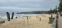 Manly (13) &ndash; &copy; Marcus Hasselhorst (Eberhardt TRAVEL)