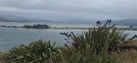 Otago Halbinsel (3) &ndash; &copy; Marcus Hasselhorst (Eberhardt TRAVEL)