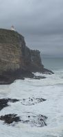 Otago Halbinsel (4) &ndash; &copy; Marcus Hasselhorst (Eberhardt TRAVEL)