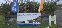 Royal Albatros (9) &ndash; &copy; Marcus Hasselhorst (Eberhardt TRAVEL)