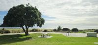 Tauranga am Morgen (1) &ndash; &copy; Marcus Hasselhorst (Eberhardt TRAVEL)