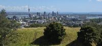 Mount Eden (5) &ndash; &copy; Marcus Hasselhorst (Eberhardt TRAVEL)