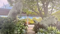 Flower Dome und Cloud Forest, Singapur 