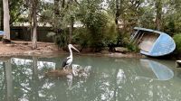 Featherdale Wildlife Park &ndash; &copy; Mareike Schmidt (Eberhardt TRAVEL)