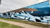 Orca Gemälde, Eden  &ndash; &copy; Mareike Schmidt (Eberhardt TRAVEL)