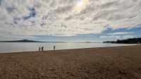 Mission Bay, Auckland &ndash; &copy; Mareike Schmidt (Eberhardt TRAVEL)