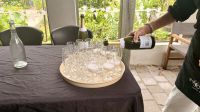 Allan Scott Weingut, Marlborough, NZ &ndash; &copy; Mareike Schmidt (Eberhardt TRAVEL)