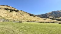Manderley Farm, Christchurch  &ndash; &copy; Mareike Schmidt (Eberhardt TRAVEL)