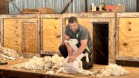 Manderley Farm, Christchurch  &ndash; &copy; Mareike Schmidt (Eberhardt TRAVEL)