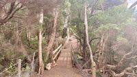Burnie, Tasmanien  &ndash; &copy; Mareike Schmidt (Eberhardt TRAVEL)