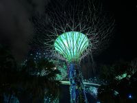 Abendspaziergang durch Singapur