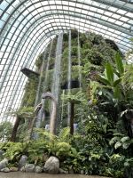 Cloudforest Singapur &ndash; &copy; Anne Fohlert (Eberhardt TRAVEL)