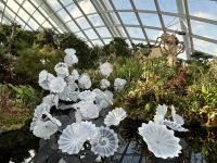 Cloudforest Singapur &ndash; &copy; Anne Fohlert (Eberhardt TRAVEL)
