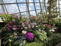 FlowerDome Singapur &ndash; &copy; Anne Fohlert (Eberhardt TRAVEL)
