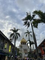 Stadtrundgang Singapur