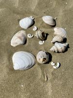 Ninty Mile Beach
