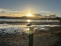  Rotorua &ndash; &copy; Anne Fohlert (Eberhardt TRAVEL)