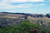 Foto-Stopp am Cashmere Hill Lookout mit Blick über Christchurch &ndash; &copy; Stefanie Knisse (Eberhardt TRAVEL)