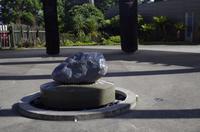 Besuch des Te Puia Te Puia Maori Arts & Crafts in Rotorua &ndash; &copy; Stefanie Knisse (Eberhardt TRAVEL)