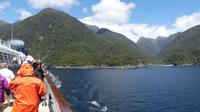 Doubtful Sound &ndash; &copy; Frank Nimschowski (Eberhardt TRAVEL)