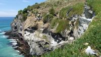 Otago Halbinsel