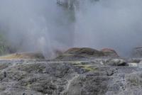 Thermalfelder von Whakarewarewa, Pohutu-Geysir &ndash; &copy; Frank Nimschowski (Eberhardt TRAVEL)