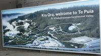 Thermalfelder von Whakarewarewa in Te Puia (Rotorua) &ndash; &copy; Frank Nimschowski (Eberhardt TRAVEL)