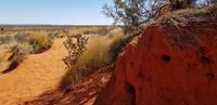 Am Mount Connor &ndash; &copy; Mandy Rabe (Eberhardt TRAVEL)