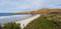 Penguin Place  &ndash; &copy; Mandy Rabe (Eberhardt TRAVEL)