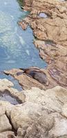 Penguin Place &ndash; &copy; Mandy Rabe (Eberhardt TRAVEL)