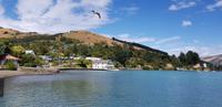 Akaroa &ndash; &copy; Mandy Rabe (Eberhardt TRAVEL)