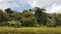 Dschungelsafari &ndash; &copy; Constanze Maißel (Eberhardt TRAVEL)