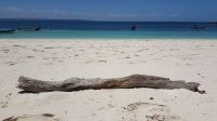 Insel Iguana &ndash; &copy; Constanze Maißel (Eberhardt TRAVEL)