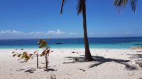 Insel Iguana &ndash; &copy; Constanze Maißel (Eberhardt TRAVEL)