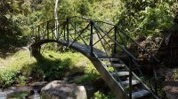 Wanderweg im Nebelwald bei Boquete &ndash; &copy; Constanze Maißel (Eberhardt TRAVEL)