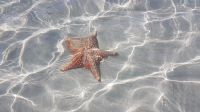 Estrella Beach &ndash; &copy; Constanze Maißel (Eberhardt TRAVEL)