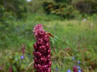 DSCN4366 &ndash; &copy; Kerstin Heintzel (Eberhardt TRAVEL)