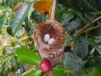 DSCN4434 &ndash; &copy; Kerstin Heintzel (Eberhardt TRAVEL)