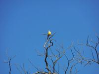 DSCN4529