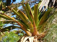 DSCN4541 &ndash; &copy; Kerstin Heintzel (Eberhardt TRAVEL)