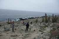Kakteen &ndash; &copy; Sandra Winkler (Eberhardt TRAVEL)