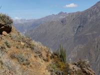 Colca Tal &ndash; &copy; Sandra Winkler (Eberhardt TRAVEL)