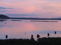 Titikakasee