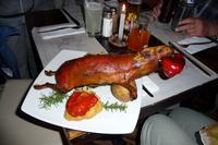 Meerschweinchen &ndash; &copy; Sandra Winkler (Eberhardt TRAVEL)