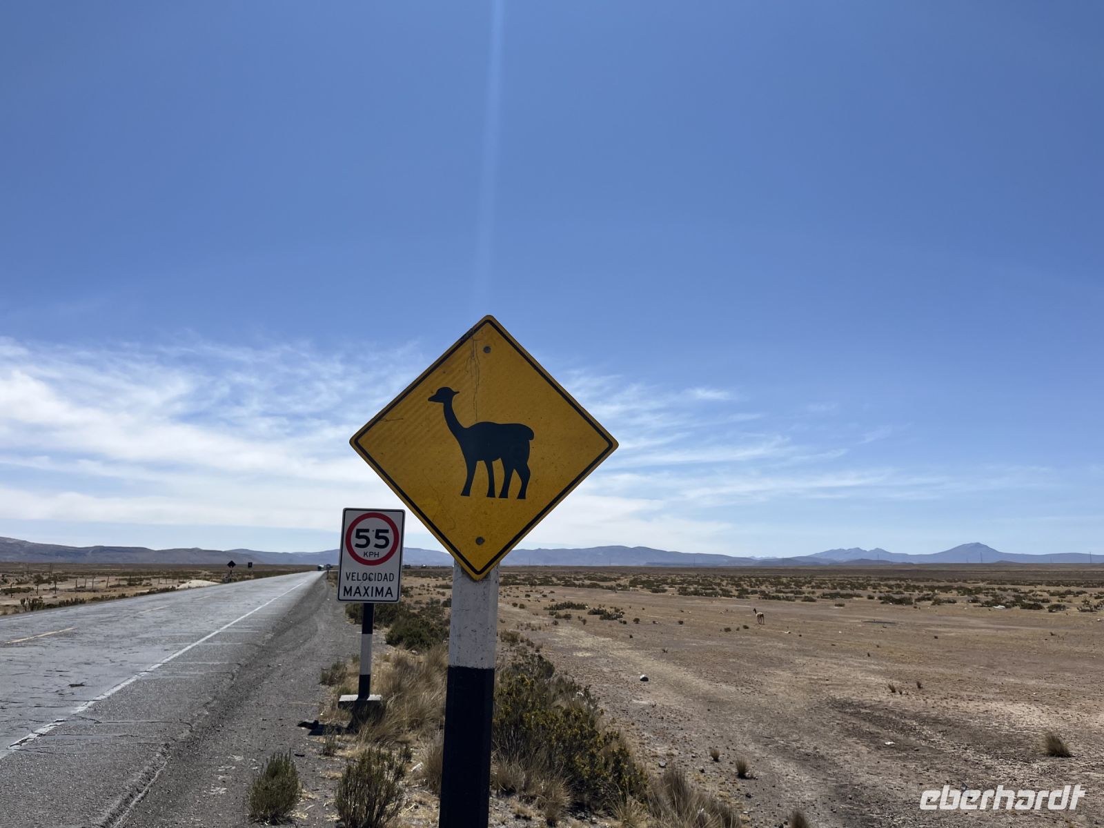 Achtung Alpaka! &ndash; &copy; Valentin Meyer-Plath (Eberhardt TRAVEL)