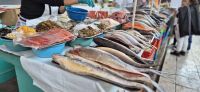 69 Fischhalle &ndash; &copy; Susanne Schirmann (Eberhardt TRAVEL)