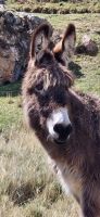 143 mit viel Tierwelt &ndash; &copy; Susanne Schirmann (Eberhardt TRAVEL)