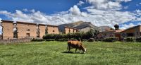 170 Tempelanlage in Raqchi &ndash; &copy; Susanne Schirmann (Eberhardt TRAVEL)