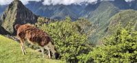213 Machu Picchu